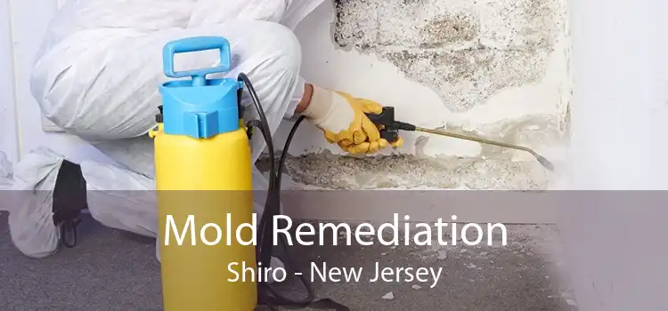 Mold Remediation Shiro - New Jersey