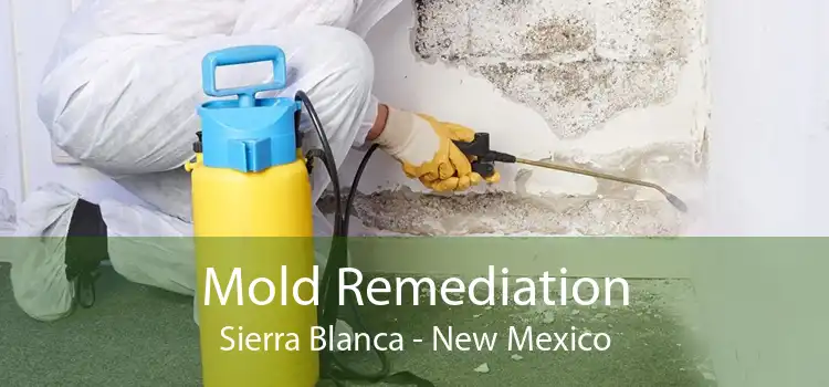 Mold Remediation Sierra Blanca - New Mexico