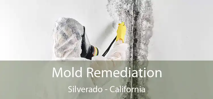 Mold Remediation Silverado - California