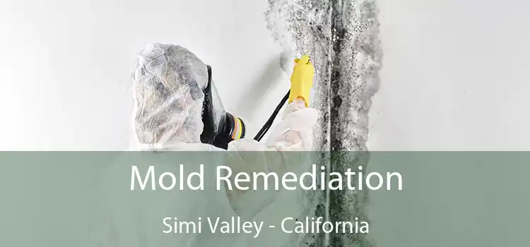 Mold Remediation Simi Valley - California