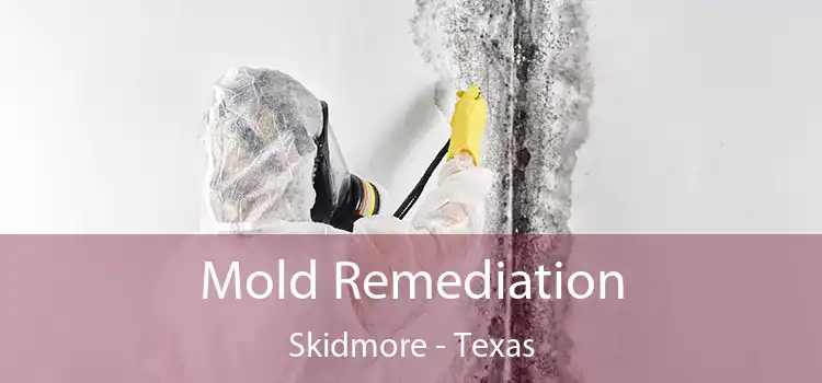 Mold Remediation Skidmore - Texas