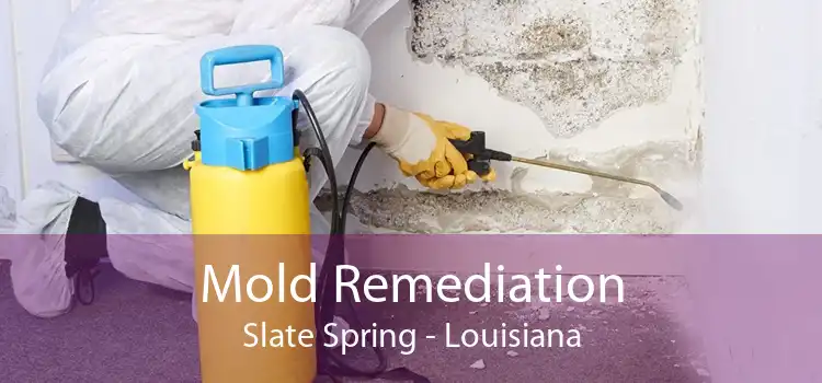 Mold Remediation Slate Spring - Louisiana