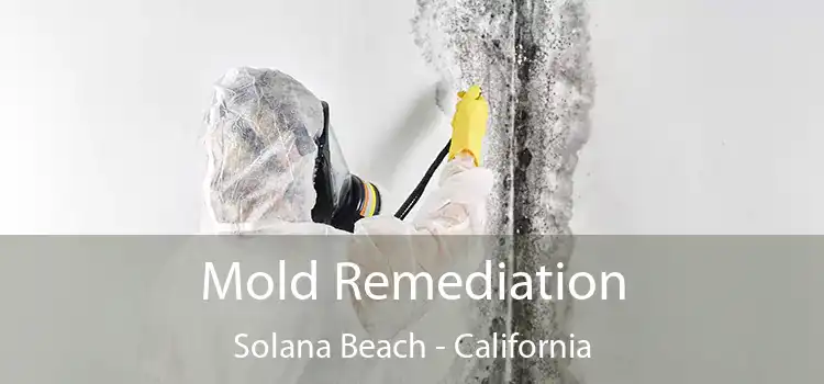 Mold Remediation Solana Beach - California