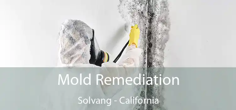 Mold Remediation Solvang - California