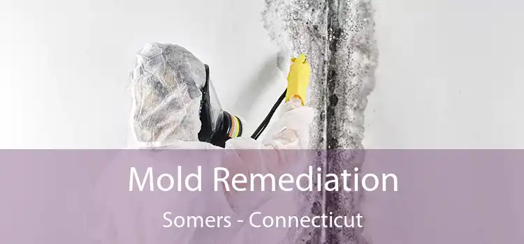 Mold Remediation Somers - Connecticut