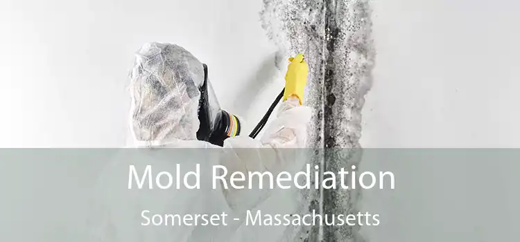 Mold Remediation Somerset - Massachusetts