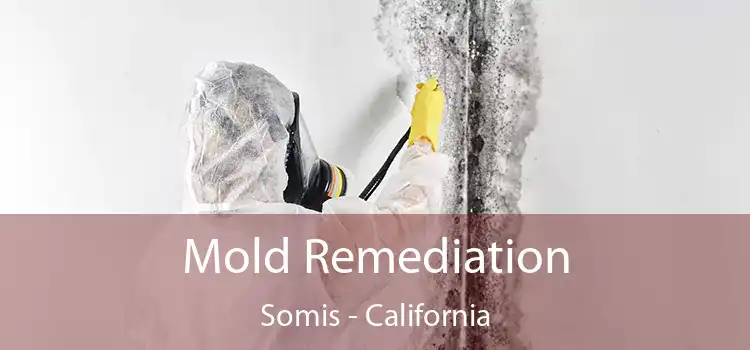 Mold Remediation Somis - California