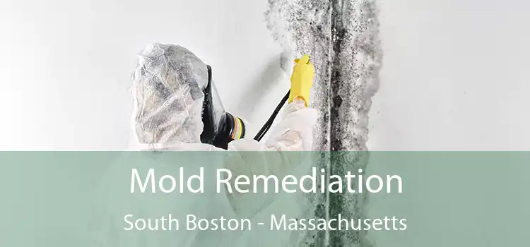 Mold Remediation South Boston - Massachusetts