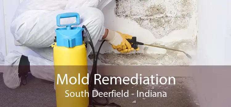 Mold Remediation South Deerfield - Indiana