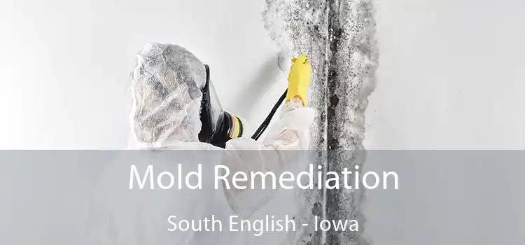 Mold Remediation South English - Iowa