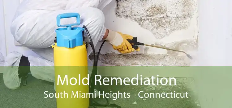 Mold Remediation South Miami Heights - Connecticut
