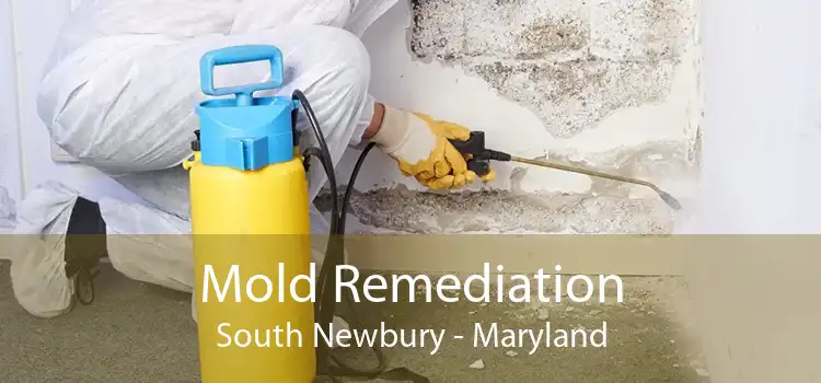 Mold Remediation South Newbury - Maryland