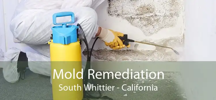 Mold Remediation South Whittier - California
