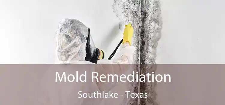 Mold Remediation Southlake - Texas