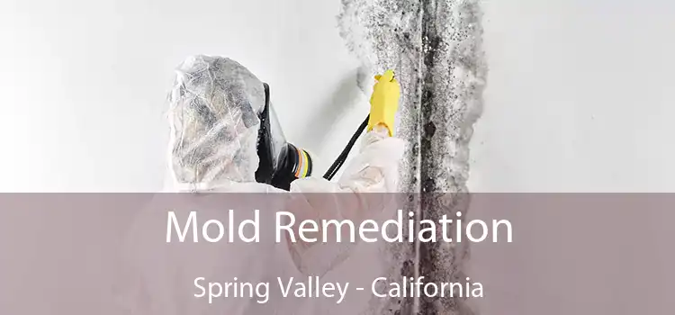 Mold Remediation Spring Valley - California