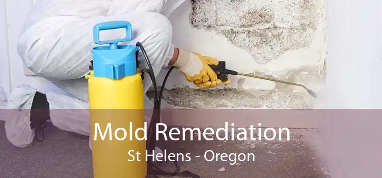 Mold Remediation St Helens - Oregon