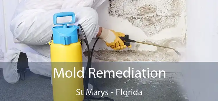 Mold Remediation St Marys - Florida