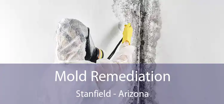 Mold Remediation Stanfield - Arizona