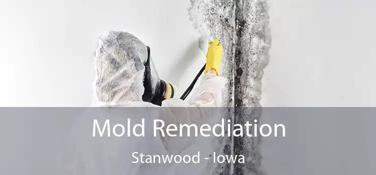 Mold Remediation Stanwood - Iowa