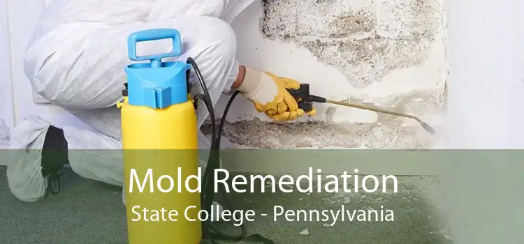 Mold Remediation State College - Pennsylvania