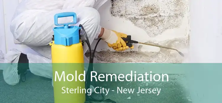 Mold Remediation Sterling City - New Jersey