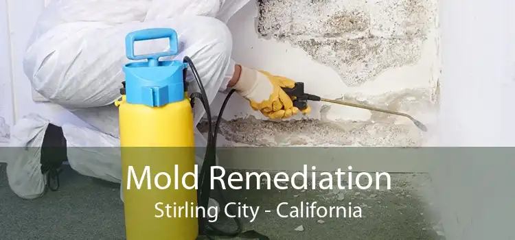 Mold Remediation Stirling City - California