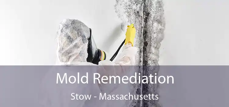 Mold Remediation Stow - Massachusetts