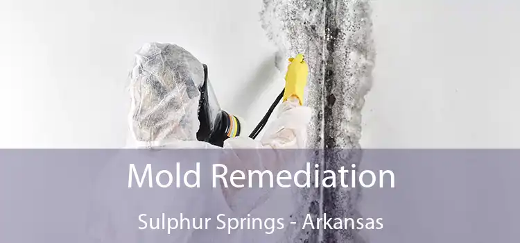 Mold Remediation Sulphur Springs - Arkansas