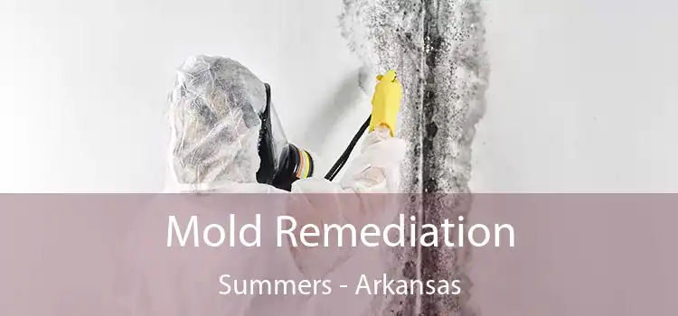 Mold Remediation Summers - Arkansas