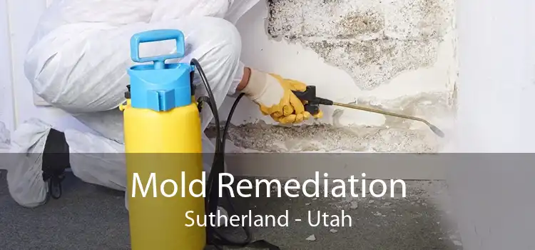 Mold Remediation Sutherland - Utah
