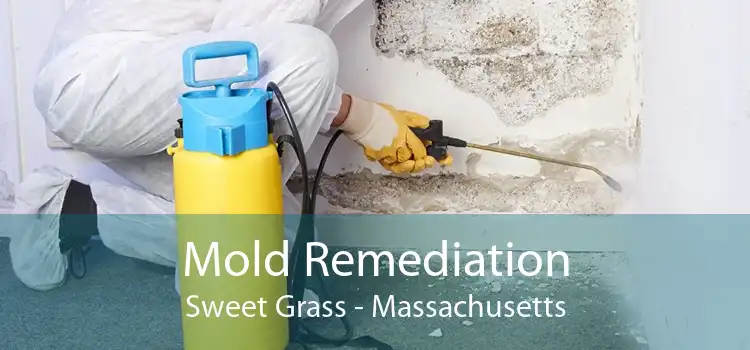 Mold Remediation Sweet Grass - Massachusetts