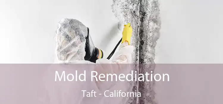 Mold Remediation Taft - California