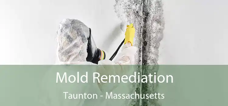 Mold Remediation Taunton - Massachusetts