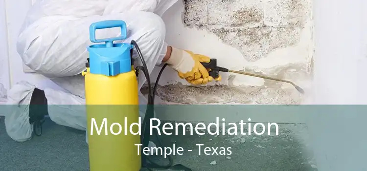 Mold Remediation Temple - Texas