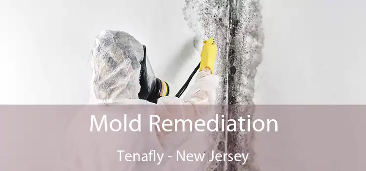 Mold Remediation Tenafly - New Jersey