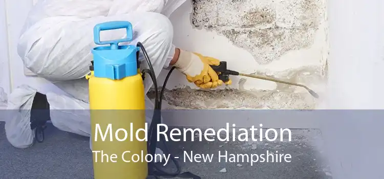 Mold Remediation The Colony - New Hampshire