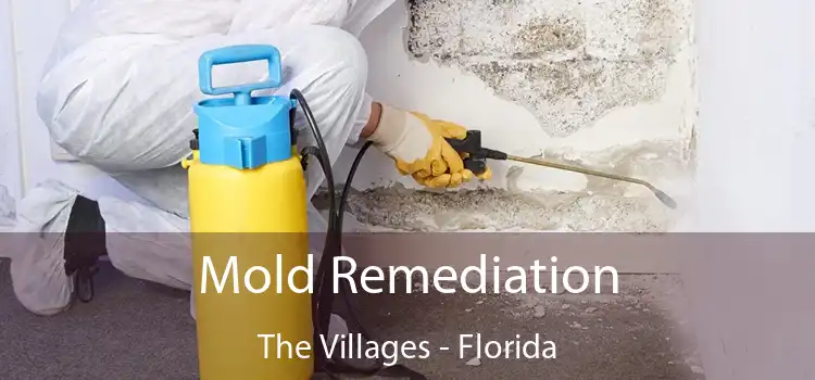 Mold Remediation The Villages - Florida