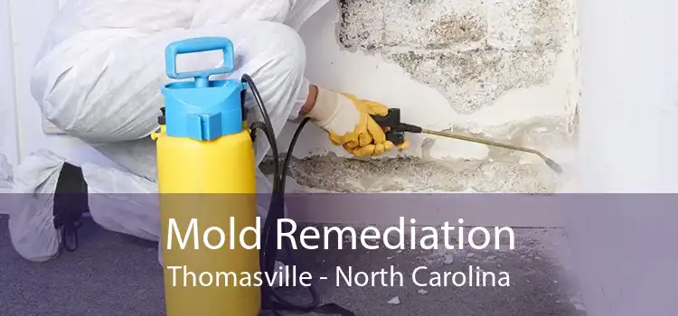 Mold Remediation Thomasville - North Carolina