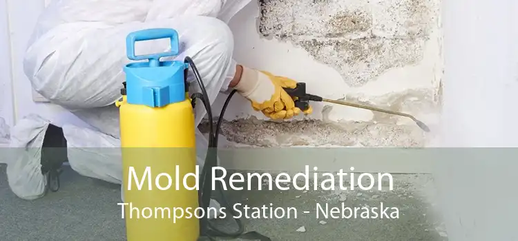 Mold Remediation Thompsons Station - Nebraska
