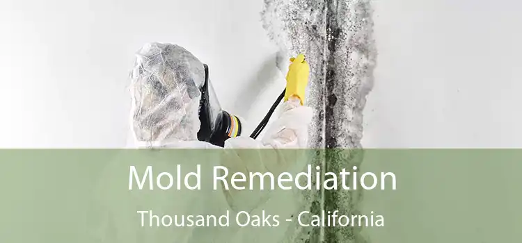 Mold Remediation Thousand Oaks - California