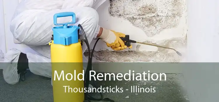 Mold Remediation Thousandsticks - Illinois