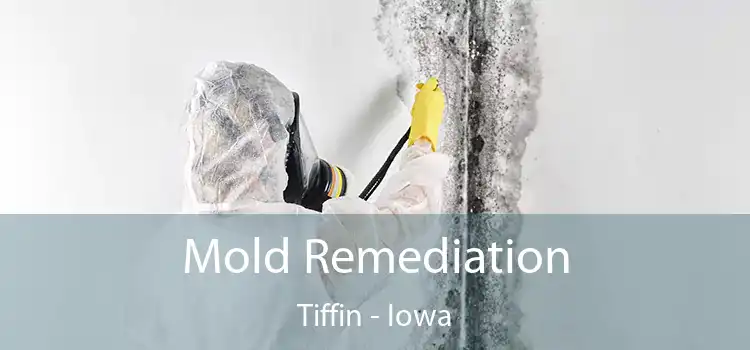 Mold Remediation Tiffin - Iowa