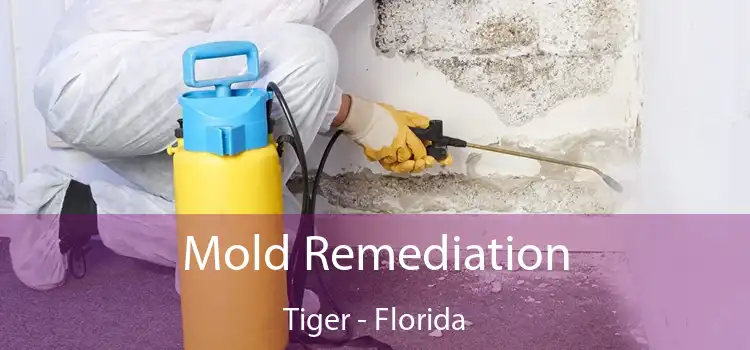 Mold Remediation Tiger - Florida