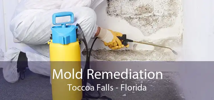 Mold Remediation Toccoa Falls - Florida