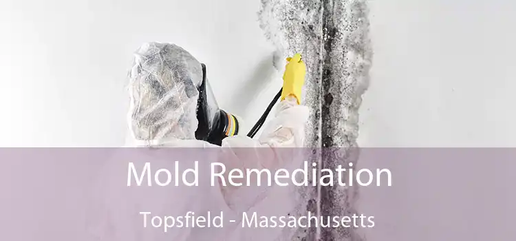 Mold Remediation Topsfield - Massachusetts