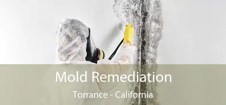 Mold Remediation Torrance - California