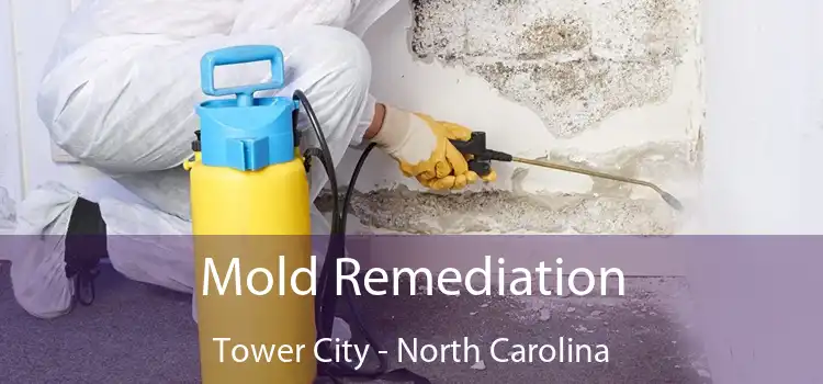 Mold Remediation Tower City - North Carolina