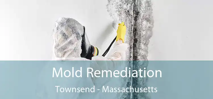 Mold Remediation Townsend - Massachusetts