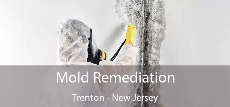 Mold Remediation Trenton - New Jersey