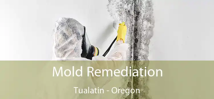 Mold Remediation Tualatin - Oregon